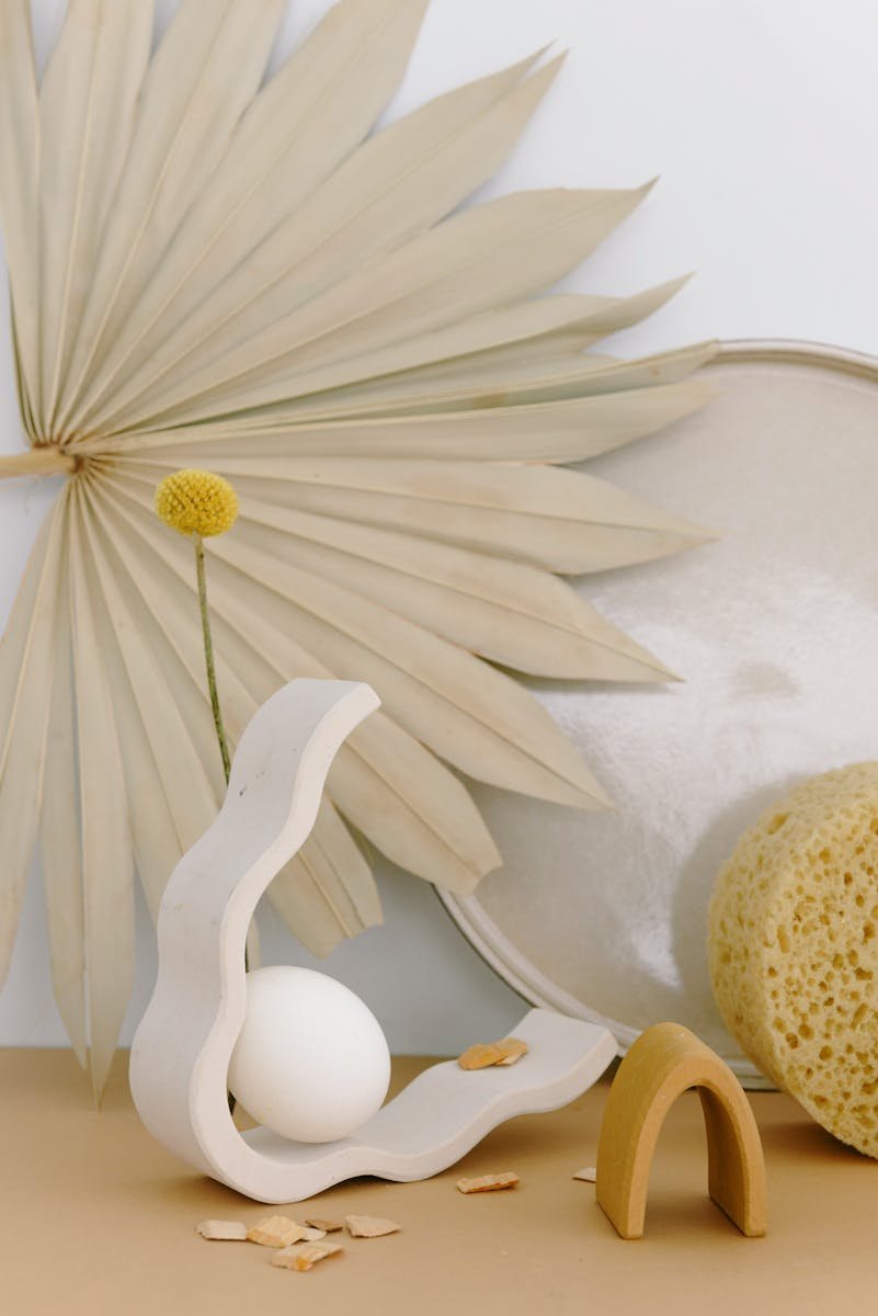 Aesthetic decor featuring dried palm leaves, white egg, and sponge on wooden surface.