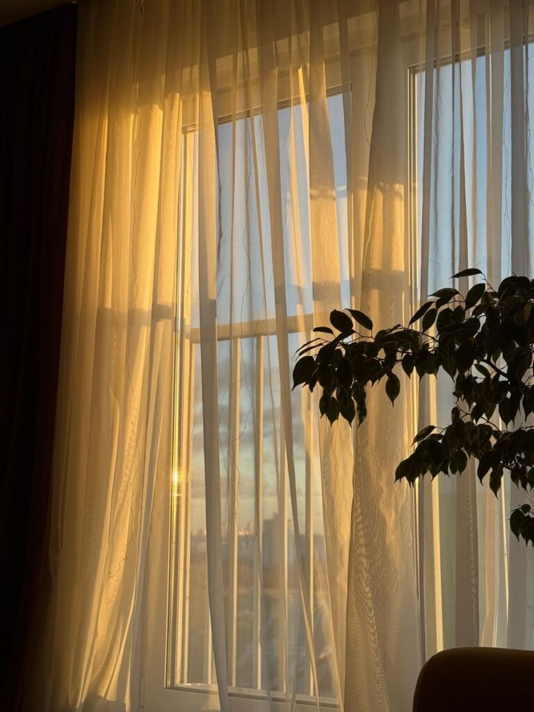 Warm sunset light streaming through sheer curtains with a silhouetted plant indoors.