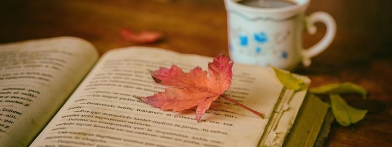 leaves, coffee, cup, still life, book, reading, leisure, nature, hobby, coffee cup, read, open book, bookworm