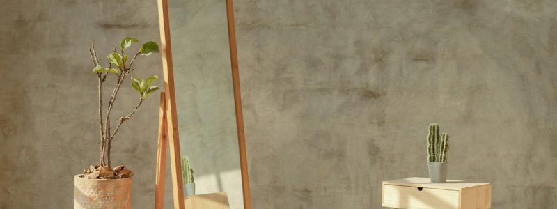 Minimalist room with Scandinavian design featuring wooden furniture and plants.