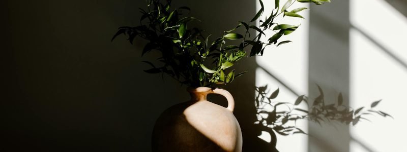 A minimalist-style ceramic vase adorned with lush green foliage casting elegant shadows.